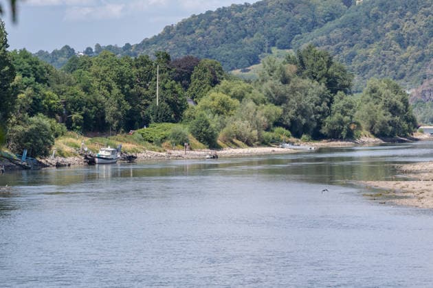 Niedrigwasser am Rhein bei Rolandseck Niedrigwasser am Rhein bei Rolandseck an der Rheininsel Nonnenwerth. Bei einem Pegelstand von 24 cm am Pegel Oberwinter haben anlegende Schiffe bereits Grundberührung. Remagen Rheinland-Pfalz Deutschland *** Low Water Levels on the Rhine at Rolandseck Low Water Levels on the Rhine at Rolandseck on the Rhine Island of Nonnenwerth With the water level at the Oberwinter gauge standing at 24 cm, ships attempting to dock are already running aground Remagen Rhineland-Palatinate Germany Copyright: xMarcxJohnx