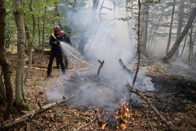 Fire in The Fontainebleau Forest - France A Parisian (BSPP - Brigade de Sapeurs Pompiers de Paris) firefighter operates during a fire in the Fontainebleau Forest near Paris on July 15, 2026. Photo by Eliot Blondet ABACAPRESS.COM Fontainebleau France France  Copyright: xBlondetxEliot ABACAx