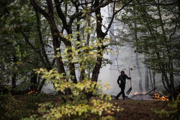 Fire in The Fontainebleau Forest - France A Parisian (BSPP - Brigade de Sapeurs Pompiers de Paris) firefighter operates during a fire in the Fontainebleau Forest near Paris on July 15, 2026. Photo by Eliot Blondet ABACAPRESS.COM Fontainebleau France France  Copyright: xBlondetxEliot ABACAx