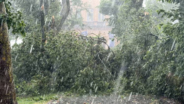 Eine schwere Unwetterfront ist gegen 16:30 Uhr über den Bodensee hinweg gezogen. Eine sogenannte Superzelle zog über den Bodensee auf und mit voller Orkanstärke über Langenargen hinweg. Aus der Luft sieht man den bedrohlichen Unwetteraufzug. Die Sturmleuchten an den Häfen leuchteten schon frühzeitig. Die Superzelle brachte in Langenargen schweren Sturm bis hin zu Orkanböen. Radfahrer konnten noch gerade so Schutz unter Vordächern suchen und befanden sich in Lebensgefahr. Der Orkan peitschte durch die Gassen. Biertische und Stühle flogen durch die Gegend. Mitarbeiter eines Restaurants versuchten ihre Sonnenschirme mitten im Orkan zu sichern, Lebensgefahr! Bäume krachten um. Im Schlosspark finden diese Woche die Festspiele Langenarg