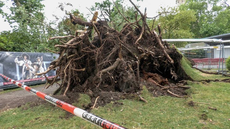 Eine schwere Unwetterfront ist gegen 16:30 Uhr über den Bodensee hinweg gezogen. Eine sogenannte Superzelle zog über den Bodensee auf und mit voller Orkanstärke über Langenargen hinweg. Aus der Luft sieht man den bedrohlichen Unwetteraufzug. Die Sturmleuchten an den Häfen leuchteten schon frühzeitig. Die Superzelle brachte in Langenargen schweren Sturm bis hin zu Orkanböen. Radfahrer konnten noch gerade so Schutz unter Vordächern suchen und befanden sich in Lebensgefahr. Der Orkan peitschte durch die Gassen. Biertische und Stühle flogen durch die Gegend. Mitarbeiter eines Restaurants versuchten ihre Sonnenschirme mitten im Orkan zu sichern, Lebensgefahr! Bäume krachten um. Im Schlosspark finden diese Woche die Festspiele Langenarg