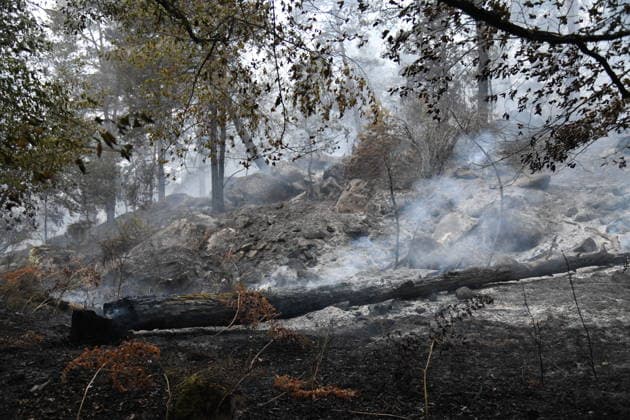 Massive wildfire spreads through Fontainebleau Forest near Paris FONTAINEBLEAU, FRANCE - JULY 15: An exceptionally large wildfire is spreading across the Fontainebleau Forest, south of Paris, France, on July 15, 2026. Fueled by an intense heat wave, prolonged drought conditions and strong winds, the blaze is rapidly advancing through the woodland, destroying hundreds of hectares of vegetation. Firefighting teams continue efforts to contain the fire and prevent further damage. Dragan Lekic Anadolu Paris France. Editorial use only. Please get in touch for any other usage.  Copyright: x2026xAnadoluxDraganxLekicx