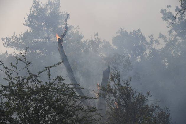 Massive wildfire spreads through Fontainebleau Forest near Paris FONTAINEBLEAU, FRANCE - JULY 15: An exceptionally large wildfire is spreading across the Fontainebleau Forest, south of Paris, France, on July 15, 2026. Fueled by an intense heat wave, prolonged drought conditions and strong winds, the blaze is rapidly advancing through the woodland, destroying hundreds of hectares of vegetation. Firefighting teams continue efforts to contain the fire and prevent further damage. Dragan Lekic Anadolu Paris France. Editorial use only. Please get in touch for any other usage.  Copyright: x2026xAnadoluxDraganxLekicx