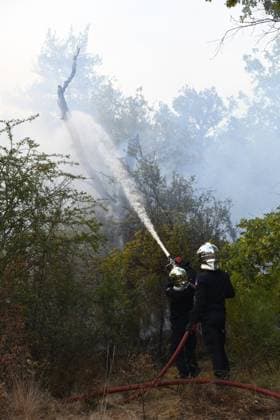 Massive wildfire spreads through Fontainebleau Forest near Paris FONTAINEBLEAU, FRANCE - JULY 15: An exceptionally large wildfire is spreading across the Fontainebleau Forest, south of Paris, France, on July 15, 2026. Fueled by an intense heat wave, prolonged drought conditions and strong winds, the blaze is rapidly advancing through the woodland, destroying hundreds of hectares of vegetation. Firefighting teams continue efforts to contain the fire and prevent further damage. Dragan Lekic Anadolu Paris France. Editorial use only. Please get in touch for any other usage.  Copyright: x2026xAnadoluxDraganxLekicx