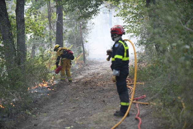 Massive wildfire spreads through Fontainebleau Forest near Paris FONTAINEBLEAU, FRANCE - JULY 15: An exceptionally large wildfire is spreading across the Fontainebleau Forest, south of Paris, France, on July 15, 2026. Fueled by an intense heat wave, prolonged drought conditions and strong winds, the blaze is rapidly advancing through the woodland, destroying hundreds of hectares of vegetation. Firefighting teams continue efforts to contain the fire and prevent further damage. Dragan Lekic Anadolu Paris France. Editorial use only. Please get in touch for any other usage.  Copyright: x2026xAnadoluxDraganxLekicx
