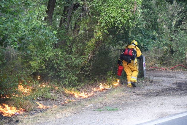 Massive wildfire spreads through Fontainebleau Forest near Paris FONTAINEBLEAU, FRANCE - JULY 15: An exceptionally large wildfire is spreading across the Fontainebleau Forest, south of Paris, France, on July 15, 2026. Fueled by an intense heat wave, prolonged drought conditions and strong winds, the blaze is rapidly advancing through the woodland, destroying hundreds of hectares of vegetation. Firefighting teams continue efforts to contain the fire and prevent further damage. Dragan Lekic Anadolu Paris France. Editorial use only. Please get in touch for any other usage.  Copyright: x2026xAnadoluxDraganxLekicx