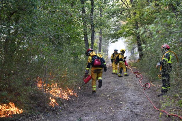 Massive wildfire spreads through Fontainebleau Forest near Paris FONTAINEBLEAU, FRANCE - JULY 15: An exceptionally large wildfire is spreading across the Fontainebleau Forest, south of Paris, France, on July 15, 2026. Fueled by an intense heat wave, prolonged drought conditions and strong winds, the blaze is rapidly advancing through the woodland, destroying hundreds of hectares of vegetation. Firefighting teams continue efforts to contain the fire and prevent further damage. Dragan Lekic Anadolu Paris France. Editorial use only. Please get in touch for any other usage.  Copyright: x2026xAnadoluxDraganxLekicx