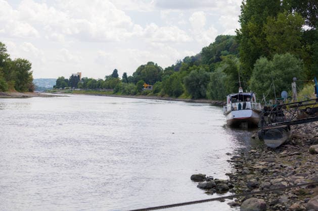 Niedrigwasser am Rhein bei Rolandseck - Fähre Bad Honnef weicht auf Behelfsrampe aus Niedrigwasser am Rhein bei Rolandseck in Höhe der Rheininsel Nonnenwerth. Bei einem Pegelstand von 24 cm am Pegel Oberwinter haben anlegende Schiffe bereits Grundberührung. Hinweis: KI Retusche (Kennzechen am Schiff entfernt) Remagen Rheinland-Pfalz Deutschland *** Low water levels on the Rhine near the Rolandseck Ferry in Bad Honnef; ferry uses a makeshift ramp Low water levels on the Rhine near Rolandseck, near the Rhine island of Nonnenwerth With the water level at the Oberwinter gauge at 24 cm, ships attempting to dock are already running aground Note: AI retouching tagmarks on the ship removed Remagen Rhineland-Palatinate Germany Copyright: xMarcxJohnx