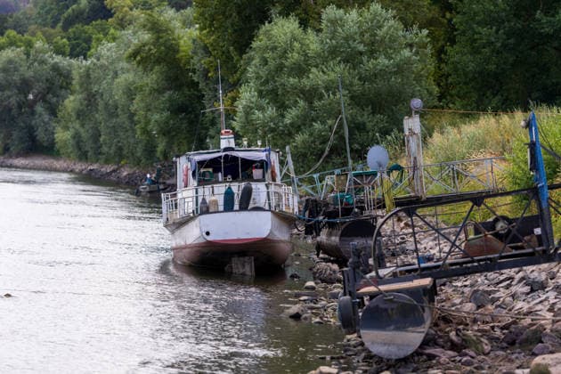 Niedrigwasser am Rhein bei Rolandseck - Fähre Bad Honnef weicht auf Behelfsrampe aus Niedrigwasser am Rhein bei Rolandseck in Höhe der Rheininsel Nonnenwerth. Bei einem Pegelstand von 24 cm am Pegel Oberwinter haben anlegende Schiffe bereits Grundberührung. Hinweis: KI Retusche (Kennzechen am Schiff entfernt) Remagen Rheinland-Pfalz Deutschland *** Low water levels on the Rhine near the Rolandseck Ferry in Bad Honnef; ferry uses a makeshift ramp Low water levels on the Rhine near Rolandseck, near the Rhine island of Nonnenwerth With the water level at the Oberwinter gauge at 24 cm, ships attempting to dock are already running aground Note: AI retouching tagmarks on the ship removed Remagen Rhineland-Palatinate Germany Copyright: xMarcxJohnx