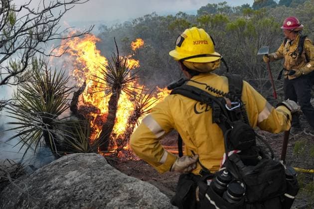 July 15, 2026, Boulevard, California, United States: Firefighters battle the Thorn Fire..The Thorn Fire burns near Buckthorn Trail and Clover Trail in the Boulevard Campo area of southeastern San Diego County on Wednesday, July 15, 2026. Fueled by hot, dry conditions, the wildfire spreads rapidly, prompts evacuation orders and warnings, temporarily closes portions of Interstate 8, and draws a large response from Cal Fire and local agencies. Firefighters on the ground, supported by air tankers and helicopters, work to slow the fire s advance and protect nearby homes and infrastructure as officials monitor changing fire conditions. Boulevard United States  - ZUMAs197 20260715_aaa_s197_299 Copyright: xWaixLeexMichaelxHox