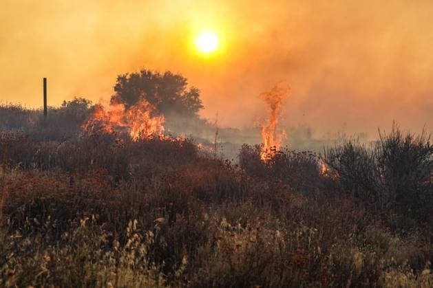 July 15, 2026, Boulevard, California, United States: Smoke and flame are seen around the trail..The Thorn Fire burns near Buckthorn Trail and Clover Trail in the Boulevard Campo area of southeastern San Diego County on Wednesday, July 15, 2026. Fueled by hot, dry conditions, the wildfire spreads rapidly, prompts evacuation orders and warnings, temporarily closes portions of Interstate 8, and draws a large response from Cal Fire and local agencies. Firefighters on the ground, supported by air tankers and helicopters, work to slow the fire s advance and protect nearby homes and infrastructure as officials monitor changing fire conditions. Boulevard United States  - ZUMAs197 20260715_aaa_s197_300 Copyright: xWaixLeexMichaelxHox
