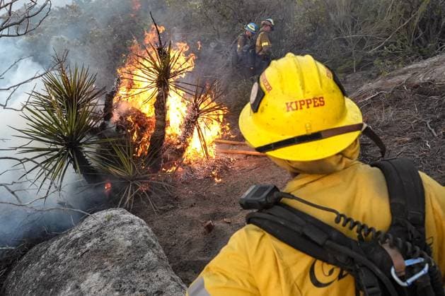 July 15, 2026, Boulevard, California, United States: Firefighters battle the Thorn Fire..The Thorn Fire burns near Buckthorn Trail and Clover Trail in the Boulevard Campo area of southeastern San Diego County on Wednesday, July 15, 2026. Fueled by hot, dry conditions, the wildfire spreads rapidly, prompts evacuation orders and warnings, temporarily closes portions of Interstate 8, and draws a large response from Cal Fire and local agencies. Firefighters on the ground, supported by air tankers and helicopters, work to slow the fire s advance and protect nearby homes and infrastructure as officials monitor changing fire conditions. Boulevard United States  - ZUMAs197 20260715_aaa_s197_301 Copyright: xWaixLeexMichaelxHox