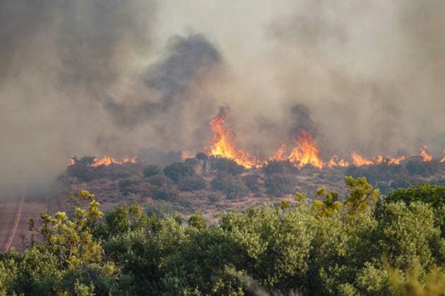 July 15, 2026, Boulevard, California, United States: Smoke and flame are seen along the road..The Thorn Fire burns near Buckthorn Trail and Clover Trail in the Boulevard Campo area of southeastern San Diego County on Wednesday, July 15, 2026. Fueled by hot, dry conditions, the wildfire spreads rapidly, prompts evacuation orders and warnings, temporarily closes portions of Interstate 8, and draws a large response from Cal Fire and local agencies. Firefighters on the ground, supported by air tankers and helicopters, work to slow the fire s advance and protect nearby homes and infrastructure as officials monitor changing fire conditions. Boulevard United States  - ZUMAs197 20260715_aaa_s197_304 Copyright: xWaixLeexMichaelxHox