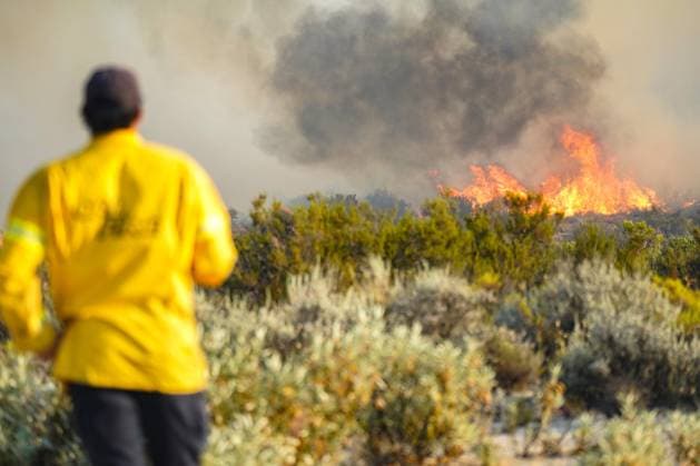 July 15, 2026, Boulevard, California, United States: Smoke and flame are seen along the road..The Thorn Fire burns near Buckthorn Trail and Clover Trail in the Boulevard Campo area of southeastern San Diego County on Wednesday, July 15, 2026. Fueled by hot, dry conditions, the wildfire spreads rapidly, prompts evacuation orders and warnings, temporarily closes portions of Interstate 8, and draws a large response from Cal Fire and local agencies. Firefighters on the ground, supported by air tankers and helicopters, work to slow the fire s advance and protect nearby homes and infrastructure as officials monitor changing fire conditions. Boulevard United States  - ZUMAs197 20260715_aaa_s197_311 Copyright: xWaixLeexMichaelxHox