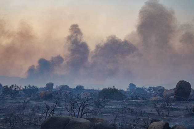 July 15, 2026, Boulevard, California, United States: Smoke and flame are seen along the road..The Thorn Fire burns near Buckthorn Trail and Clover Trail in the Boulevard Campo area of southeastern San Diego County on Wednesday, July 15, 2026. Fueled by hot, dry conditions, the wildfire spreads rapidly, prompts evacuation orders and warnings, temporarily closes portions of Interstate 8, and draws a large response from Cal Fire and local agencies. Firefighters on the ground, supported by air tankers and helicopters, work to slow the fire s advance and protect nearby homes and infrastructure as officials monitor changing fire conditions. Boulevard United States  - ZUMAs197 20260715_aaa_s197_323 Copyright: xWaixLeexMichaelxHox