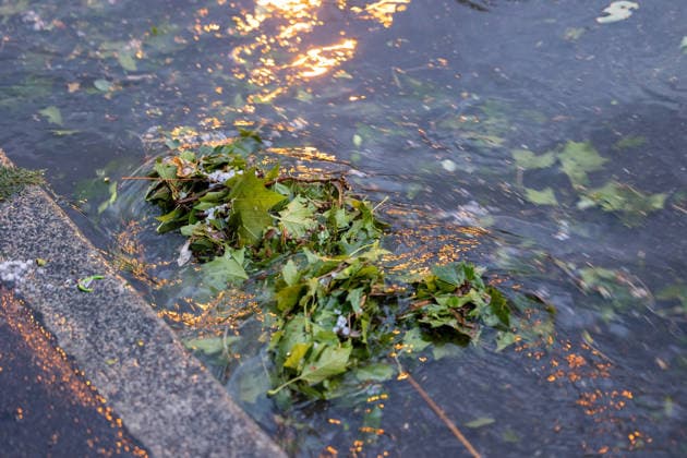Themenbilder: Hagel in Reutlingen, 15.07.2026, Themenbilder: Hagel in Reutlingen, 15.07.2026, Laub verstopft nach dem Hagel den Abfluss. *** Themed Photos: Hail in Reutlingen, July 15, 2026, Themed Photos: Hail in Reutlingen, July 15, 2026, Leaves clog the drain after the hailstorm Copyright: xDROFITSCH EIBNERx EP_ddh