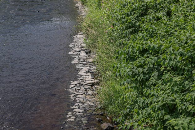 Sommer im Siegerland. Der Fluss Sieg wie hier bei Niederschelden fuehrt (führt) zur Zeit relativ wenig Wasser. Die Bezirksregierung Arnsberg untersagt daher die Wasserentnahme im Regierungsbezirk u.a. aus der Sieg aufgrund anhaltender Trockenheit. Sommer im Siegerland am 16.07.2026 in Siegen Deutschland. *** Summer in the Siegerland: The Sieg River, as seen here near Niederschelden, is currently carrying relatively little water. The Arnsberg District Government has therefore banned water withdrawal in the district—including from the Sieg—due to the ongoing drought. Summer in the Siegerland on July 16, 2026, in Siegen, Germany