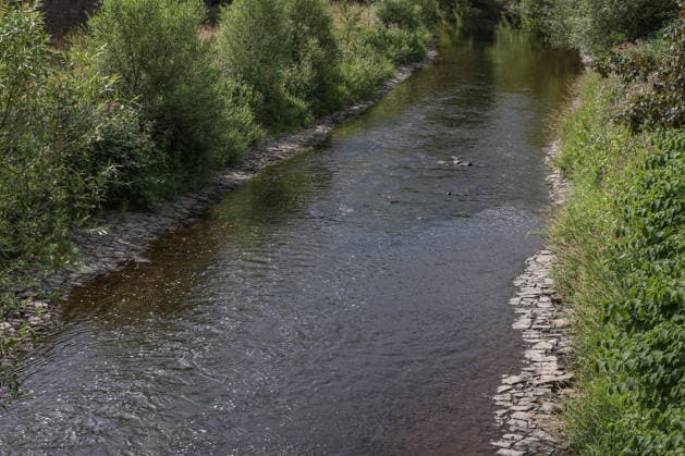 Sommer im Siegerland. Der Fluss Sieg wie hier bei Niederschelden fuehrt (führt) zur Zeit relativ wenig Wasser. Die Bezirksregierung Arnsberg untersagt daher die Wasserentnahme im Regierungsbezirk u.a. aus der Sieg aufgrund anhaltender Trockenheit. Sommer im Siegerland am 16.07.2026 in Siegen Deutschland. *** Summer in the Siegerland: The Sieg River, as seen here near Niederschelden, is currently carrying relatively little water. The Arnsberg District Government has therefore banned water withdrawal in the district—including from the Sieg—due to the ongoing drought. Summer in the Siegerland on July 16, 2026, in Siegen, Germany