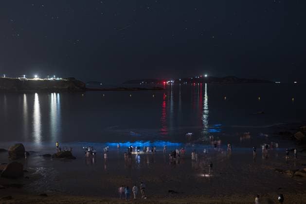 O GROVE, PONTEVEDRA, SPAIN JULY 16, 2026: Bioluminescence, known in Galicia as Mar de Ardora, illuminates the coast of O Grove during the early hours of July 16, 2026. The natural phenomenon is caused by marine microorganisms that emit light when the water is disturbed and can be favoured by concentrations of microalgae and warmer sea temperatures. O GROVE Pontevedra Spain Copyright: x xElenaxFernandezxFajinx xJNAxPressx
