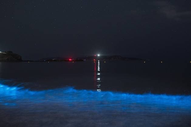 O GROVE, PONTEVEDRA, SPAIN JULY 16, 2026: Bioluminescence, known in Galicia as Mar de Ardora, illuminates the coast of O Grove during the early hours of July 16, 2026. The natural phenomenon is caused by marine microorganisms that emit light when the water is disturbed and can be favoured by concentrations of microalgae and warmer sea temperatures. O GROVE Pontevedra Spain Copyright: x xElenaxFernandezxFajinx xJNAxPressx