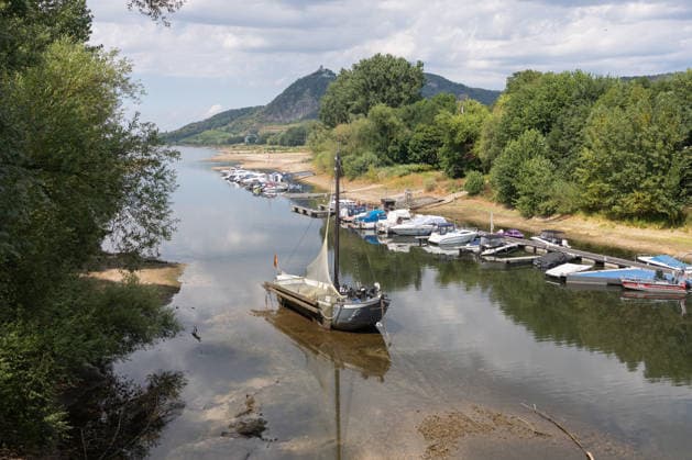 Niedrigwasser am Rhein - Hitzewelle und Trockenheit lassen Pegel sinken Insel Grafenwerth. Mit dem Aalschokker Aranka, der im toten Rheinarm nahezu auf Grund liegt - Niedrigwasser am Rhein infolge anhaltender Trockenheit und einer Hitzewelle mit Temperaturen über 30 Grad. Zwischen Bad Honnef und Bonn liegen die Pegelstände bei 24 cm am Pegel Oberwinter und 95 cm am Pegel Bonn. Die Binnenschifffahrt ist eingeschränkt - Frachtschiffe können nur noch mit reduzierter Ladung fahren. Bad Honnef Insel Grafenwewrth Nordrhein-Westfalen Deutschland *** Low Water Levels on the Rhine: Heat Wave and Drought Cause Water Levels to Drop Grafenwerth Island: The eel boat Aranka, which is nearly aground in the dead arm of the Rhine Low water levels on the Copyright: xMarcxJohnx