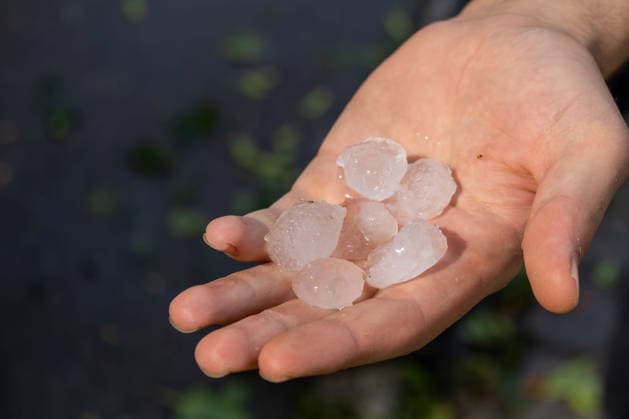 Unwetter in Neckartenzlingen, Ein schweres Unwetter mit heftigem Hagel ist über Neckartenzlingen in Baden-Württemberg hinweggezogen. Innerhalb kurzer Zeit verwandelten dicke Hagelmassen Straßen, Wiesen und Gärten in eine nahezu vollständig weiße Landschaft. Gleichzeitig sorgten starke Sturmböen für umgestürzte Bäume und Behinderungen im Straßenverkehr. Einsatzkräfte waren im Einsatz, um Gefahrenstellen zu beseitigen und Verkehrswege wieder freizumachen. Neckartenzlingen Baden-Württemberg Deutschland Neckartenzlingen *** Severe Weather in Neckartenzlingen: A severe storm with heavy hail swept through Neckartenzlingen in Baden-Württemberg. Within a short time, large hailstones transformed streets, meadows, and gardens into an alm Copyright: x xonw-imagesx xDanielxKesslerx