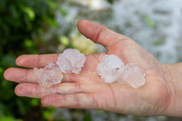 News Themen der Woche KW29 Unwetter in Neckartenzlingen, Ein schweres Unwetter mit heftigem Hagel ist über Neckartenzlingen in Baden-Württemberg hinweggezogen. Innerhalb kurzer Zeit verwandelten dicke Hagelmassen Straßen, Wiesen und Gärten in eine nahezu vollständig weiße Landschaft. Gleichzeitig sorgten starke Sturmböen für umgestürzte Bäume und Behinderungen im Straßenverkehr. Einsatzkräfte waren im Einsatz, um Gefahrenstellen zu beseitigen und Verkehrswege wieder freizumachen. Neckartenzlingen Baden-Württemberg Deutschland Neckartenzlingen *** Severe Weather in Neckartenzlingen: A severe storm with heavy hail swept through Neckartenzlingen in Baden-Württemberg. Within a short time, large hailstones transformed streets, meadows, and gardens into an alm Copyright: x xonw-imagesx xDanielxKesslerx