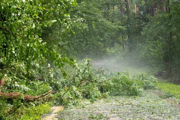 Unwetter in Neckartenzlingen, Ein schweres Unwetter mit heftigem Hagel ist über Neckartenzlingen in Baden-Württemberg hinweggezogen. Innerhalb kurzer Zeit verwandelten dicke Hagelmassen Straßen, Wiesen und Gärten in eine nahezu vollständig weiße Landschaft. Gleichzeitig sorgten starke Sturmböen für umgestürzte Bäume und Behinderungen im Straßenverkehr. Einsatzkräfte waren im Einsatz, um Gefahrenstellen zu beseitigen und Verkehrswege wieder freizumachen. Neckartenzlingen Baden-Württemberg Deutschland Neckartenzlingen *** Severe Weather in Neckartenzlingen: A severe storm with heavy hail swept through Neckartenzlingen in Baden-Württemberg. Within a short time, large hailstones transformed streets, meadows, and gardens into an alm Copyright: x xonw-imagesx xDanielxKesslerx