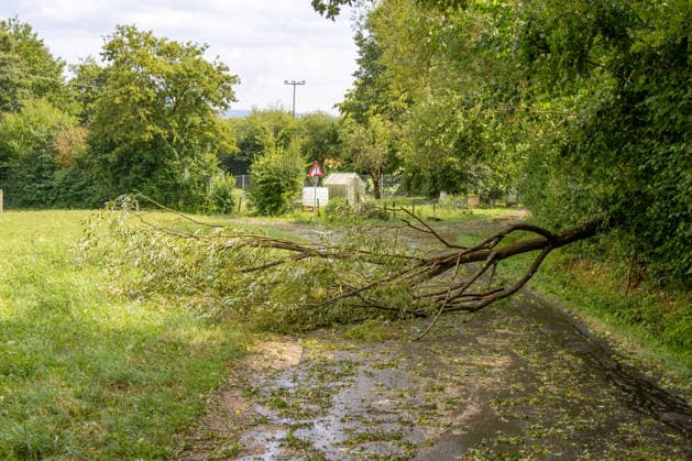 Unwetter in Neckartenzlingen, Ein schweres Unwetter mit heftigem Hagel ist über Neckartenzlingen in Baden-Württemberg hinweggezogen. Innerhalb kurzer Zeit verwandelten dicke Hagelmassen Straßen, Wiesen und Gärten in eine nahezu vollständig weiße Landschaft. Gleichzeitig sorgten starke Sturmböen für umgestürzte Bäume und Behinderungen im Straßenverkehr. Einsatzkräfte waren im Einsatz, um Gefahrenstellen zu beseitigen und Verkehrswege wieder freizumachen. Neckartenzlingen Baden-Württemberg Deutschland Neckartenzlingen *** Severe Weather in Neckartenzlingen: A severe storm with heavy hail swept through Neckartenzlingen in Baden-Württemberg. Within a short time, large hailstones transformed streets, meadows, and gardens into an alm Copyright: x xonw-imagesx xDanielxKesslerx