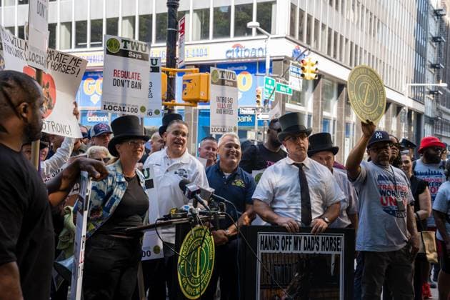 July 16, 2026, New York, New York, USA: The City Council held a hearing to consider a bill, known as RomanchÃ¢â‚¬â ¢s Law, that would phase out and eventually ban horse-drawn carriages...The bill is named after the 18-year-old tourist from India who was killed last month when he was thrown from a runaway carriage in Central Park after the horse was spooked. New York USA - ZUMAs142 20260716_fap_s142_001 Copyright: xNancyxSieselx
