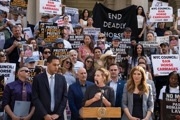 July 16, 2026, New York, New York, USA: The City Council held a hearing to consider a bill, known as RomanchÃ¢â‚¬â ¢s Law, that would phase out and eventually ban horse-drawn carriages. . Actress Edie Falco, widely known for her role as Carmela, the wife of Tony Soprano on the HBO series The Sopranos, spoke at the rally and testified at the hearing, in favor of the proposed bill. Standing with Falco is Council member Christopher Marte, a sponsor of the bill, and Council Speaker Julie Menin...The bill is named after the 18-year-old tourist from India who was killed last month when he was thrown from a runaway carriage in Central Park after the horse was spooked. New York USA  - ZUMAs142 20260716_fap_s142_010 Copyright: xNancyxSieselx