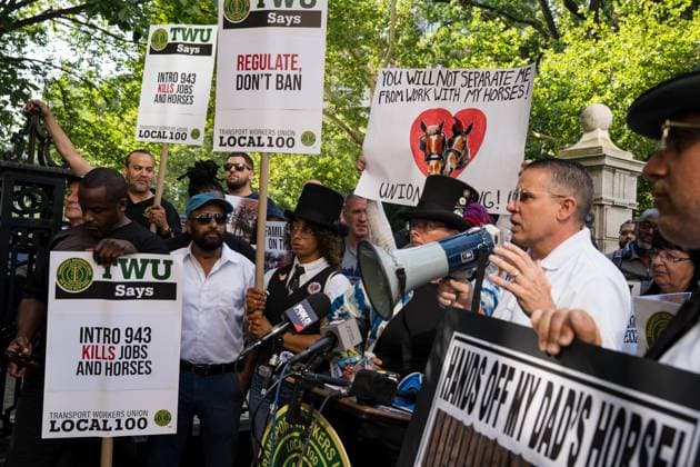 July 16, 2026, New York, New York, USA: The City Council held a hearing to consider a bill, known as RomanchÃ¢â‚¬â ¢s Law, that would phase out and eventually ban horse-drawn carriages...The bill is named after the 18-year-old tourist from India who was killed last month when he was thrown from a runaway carriage in Central Park after the horse was spooked. New York USA  - ZUMAs142 20260716_fap_s142_013 Copyright: xNancyxSieselx