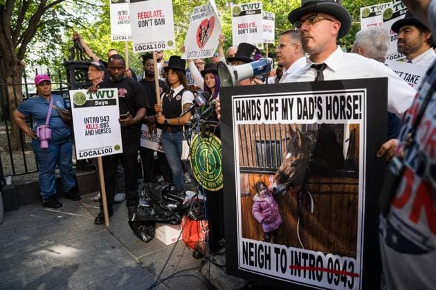 July 16, 2026, New York, New York, USA: The City Council held a hearing to consider a bill, known as RomanchÃ¢â‚¬â ¢s Law, that would phase out and eventually ban horse-drawn carriages...The bill is named after the 18-year-old tourist from India who was killed last month when he was thrown from a runaway carriage in Central Park after the horse was spooked. New York USA - ZUMAs142 20260716_fap_s142_005 Copyright: xNancyxSieselx
