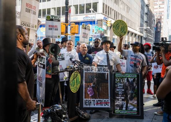 July 16, 2026, New York, New York, USA: The City Council held a hearing to consider a bill, known as RomanchÃ¢â‚¬â ¢s Law, that would phase out and eventually ban horse-drawn carriages...The bill is named after the 18-year-old tourist from India who was killed last month when he was thrown from a runaway carriage in Central Park after the horse was spooked. New York USA - ZUMAs142 20260716_fap_s142_011 Copyright: xNancyxSieselx