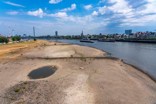 Frachtschiff auf dem Rhein bei Düsseldorf, extremes Niedrigwasser, Rheinpegel bei 41 cm, Tendenz fallend, Frachter müssen mit reduzierter Ladung fahren, nach der langen Dürre fällt das linke Rheinufer, bei Düsseldorf Oberkassel trocken, NRW, Deutschland Niedrigwasser Rhein *** Cargo ship on the Rhine near Düsseldorf; extremely low water levels; Rhine water level at 41 cm and falling; cargo ships must sail with reduced cargo; following the long drought, the left bank of the Rhine near Düsseldorf-Oberkassel has dried up; North Rhine-Westphalia, Germany; low water levels on the Rhine