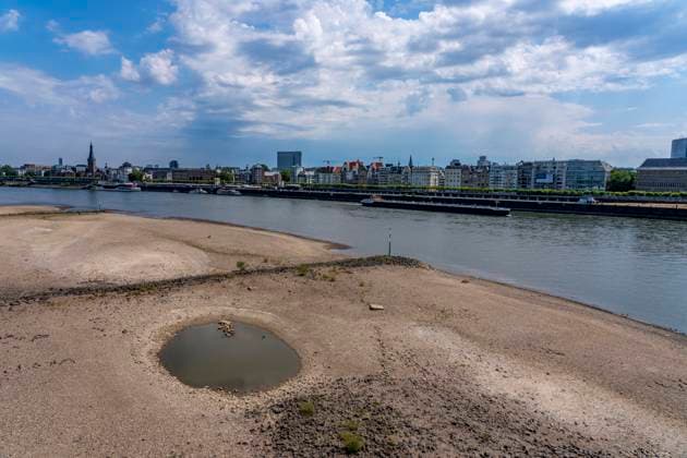 Frachtschiff auf dem Rhein bei Düsseldorf, extremes Niedrigwasser, Rheinpegel bei 41 cm, Tendenz fallend, Frachter müssen mit reduzierter Ladung fahren, nach der langen Dürre fällt das linke Rheinufer, bei Düsseldorf Oberkassel trocken, NRW, Deutschland Niedrigwasser Rhein *** Cargo ship on the Rhine near Düsseldorf; extremely low water levels; Rhine water level at 41 cm and falling; cargo ships must sail with reduced cargo; following the long drought, the left bank of the Rhine near Düsseldorf-Oberkassel has dried up; North Rhine-Westphalia, Germany; low water levels on the Rhine