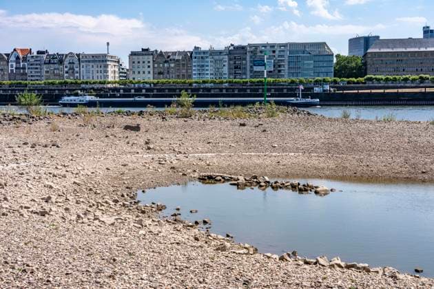 Vertrocknetes Flussbett, brüchige Schollen, extremes Niedrigwasser, Rheinpegel bei 41 cm, Tendenz fallend, Frachter müssen mit reduzierter Ladung fahren, nach der langen Dürre fällt das linke Rheinufer, bei Düsseldorf Oberkassel trocken, NRW, Deutschland Niedrigwasser Rhein *** Dried-up riverbed, crumbly clods of earth, extremely low water levels, Rhine water level at 41 cm and falling; freighters must sail with reduced cargo; following the long drought, the left bank of the Rhine has dried up near Düsseldorf-Oberkassel; North Rhine-Westphalia, Germany; low water levels on the Rhine