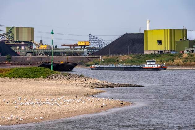 Frachtschiff, Kohlelager der Kokerei Schwelgern, extremes Niedrigwasser, hier beim Thyssenkrupp Steel Stahlwerk in Duisburg-Marxloh, durch den niedrigen Rheinpegel haben sich Sandbänke gebildet, Frachter können nur mit reduzierter Ladung fahren, das TKS Stahlwerk hat seine Produktion verringert, da nicht mehr genug Rohstoffe für die Stahlindustrie geliefert werden können,Rheinpegel DU-Ruhrort bei 170 cm, Tendenz fallend, Duisburg, NRW, Deutschland Niedrigwasser Rhein *** Cargo ship, coal storage area at the Schwelgern coking plant, extremely low water levels, here at the Thyssenkrupp Steel plant in Duisburg-Marxloh; sandbars have formed due to the low water level in the Rhine, cargo ships can only sail with reduced cargo; the TKS steel