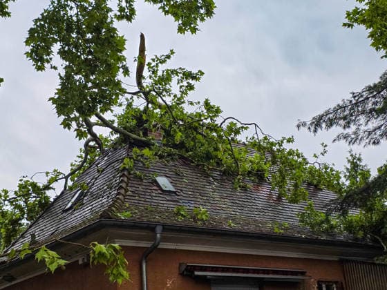 Tödliches Unwetter in Karlsruhe: Superzelle zieht mit Downburst über Karlsruhe hinweg - heftige Sturmböen mit Starkregen und Hagel - unzählige Bäume stürzen im Stadtgebiet um - viele Bäume fallen auf Autos und Häuser - Straßen werden überschwemm Tödliches Unwetter in Karlsruhe: Superzelle zieht mit Downburst über Karlsruhe hinweg - heftige Sturmböen mit Starkregen und Hagel - unzählige Bäume stürzen im Stadtgebiet um - viele Bäume fallen auf Autos und Häuser - Straßen werden überschwemmt - Blitz setzt Dachstuhl in Brand - alle Feuerwehren in der Stadt Karlsruhe im Dauereinsatz - über 250 Einsatzstellen - gesamter Straßenbahnverkehr lahmgelegt *** Deadly Storm in Karlsruhe: Supercell Sweeps Through Karlsruhe with a Copyright: xHenryxMungenastx xEinsatzReport24x