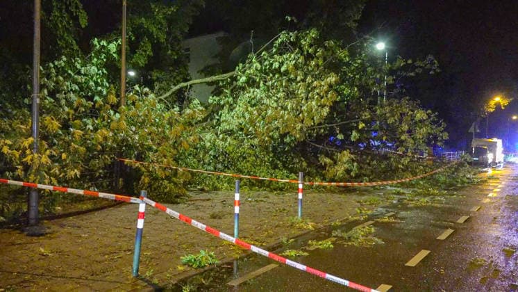 RECORD DATE NOT STATED Tödliches Unwetter in Karlsruhe: Superzelle zieht mit Downburst über Karlsruhe hinweg - heftige Sturmböen mit Starkregen und Hagel - unzählige Bäume stürzen im Stadtgebiet um - viele Bäume fallen auf Autos und Häuser - Straßen werden überschwemm Tödliches Unwetter in Karlsruhe: Superzelle zieht mit Downburst über Karlsruhe hinweg - heftige Sturmböen mit Starkregen und Hagel - unzählige Bäume stürzen im Stadtgebiet um - viele Bäume fallen auf Autos und Häuser - Straßen werden überschwemmt - Blitz setzt Dachstuhl in Brand - alle Feuerwehren in der Stadt Karlsruhe im Dauereinsatz - über 250 Einsatzstellen - gesamter Straßenbahnverkehr lahmgelegt *** Deadly Storm in Karlsruhe: Supercell Sweeps Through Karlsruhe with a Copyright: xHenryxMungenastx xEinsatzReport24x