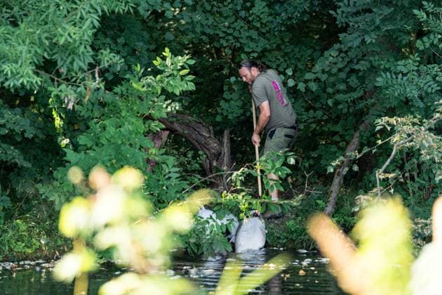 July 17, 2026, Lednice, South Moravia, Czech Republic: Workers remove dead fish from the sluice where the Zamecka Dyje branch enters the Thaya River near Januv hrad, Czech Republic, on July 15, 2026. Emergency operations continued as a cyanobacteria bloom and critically low oxygen levels caused further fish mortality in parts of the Thaya River. Lednice Czech Republic - ZUMAc315 20260717_zsp_c315_002 Copyright: xMichaelxCabalx
