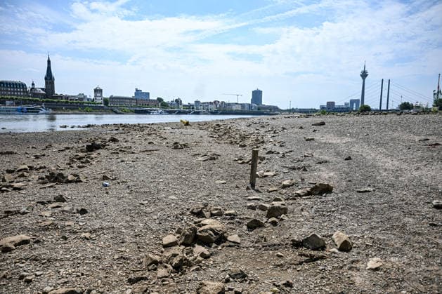 Dürre zeigt Folgen Rhein führt kaum noch Wasser, Sandbänk, Der Rhein führt aufgrund anhaltender Trockenheit und ausbleibender Niederschläge außergewöhnlich wenig Wasser. Große Teile des Flussbetts sind bei Düsseldorf freigelegt, Sand- und Kiesflächen treten deutlich hervor. Das Niedrigwasser beeinträchtigt die Schifffahrt und verdeutlicht die Auswirkungen der langanhaltenden Trockenperiode. Düsseldorf Nordrhein-Westfalen Deutschland Düsseldorf *** Drought Takes Its Toll: The Rhine Is Running Almost Dry, Sandbanks, Due to the ongoing drought and lack of rainfall, the Rhine is carrying an exceptionally low volume of water. Large sections of the riverbed near Düsseldorf are exposed, with areas of sand and gravel clearly visibl Copyright: x xonw-imagesx xPhilippxAndrÃ x