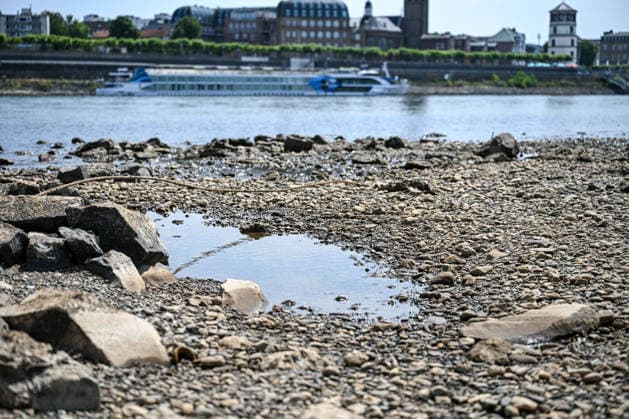 Dürre zeigt Folgen Rhein führt kaum noch Wasser, Sandbänk, Der Rhein führt aufgrund anhaltender Trockenheit und ausbleibender Niederschläge außergewöhnlich wenig Wasser. Große Teile des Flussbetts sind bei Düsseldorf freigelegt, Sand- und Kiesflächen treten deutlich hervor. Das Niedrigwasser beeinträchtigt die Schifffahrt und verdeutlicht die Auswirkungen der langanhaltenden Trockenperiode. Düsseldorf Nordrhein-Westfalen Deutschland Düsseldorf *** Drought Takes Its Toll: The Rhine Is Running Almost Dry, Sandbanks, Due to the ongoing drought and lack of rainfall, the Rhine is carrying an exceptionally low volume of water. Large sections of the riverbed near Düsseldorf are exposed, with areas of sand and gravel clearly visibl Copyright: x xonw-imagesx xPhilippxAndrÃ x