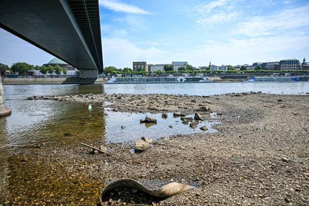 Dürre zeigt Folgen Rhein führt kaum noch Wasser, Sandbänk, Der Rhein führt aufgrund anhaltender Trockenheit und ausbleibender Niederschläge außergewöhnlich wenig Wasser. Große Teile des Flussbetts sind bei Düsseldorf freigelegt, Sand- und Kiesflächen treten deutlich hervor. Das Niedrigwasser beeinträchtigt die Schifffahrt und verdeutlicht die Auswirkungen der langanhaltenden Trockenperiode. Düsseldorf Nordrhein-Westfalen Deutschland Düsseldorf *** Drought Takes Its Toll: The Rhine Is Running Almost Dry, Sandbanks, Due to the ongoing drought and lack of rainfall, the Rhine is carrying an unusually low volume of water. Large sections of the riverbed near Düsseldorf are exposed, with areas of sand and gravel clearly visible. T Copyright: x xonw-imagesx xPhilippxAndrÃ x