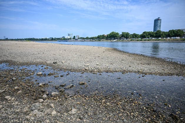 Dürre zeigt Folgen Rhein führt kaum noch Wasser, Sandbänk, Der Rhein führt aufgrund anhaltender Trockenheit und ausbleibender Niederschläge außergewöhnlich wenig Wasser. Große Teile des Flussbetts sind bei Düsseldorf freigelegt, Sand- und Kiesflächen treten deutlich hervor. Das Niedrigwasser beeinträchtigt die Schifffahrt und verdeutlicht die Auswirkungen der langanhaltenden Trockenperiode. Düsseldorf Nordrhein-Westfalen Deutschland Düsseldorf *** Drought Takes Its Toll: The Rhine Is Running Almost Dry, Sandbanks, Due to the ongoing drought and lack of rainfall, the Rhine is carrying an unusually low volume of water. Large sections of the riverbed near Düsseldorf are exposed, with areas of sand and gravel clearly visible. T Copyright: x xonw-imagesx xPhilippxAndrÃ x