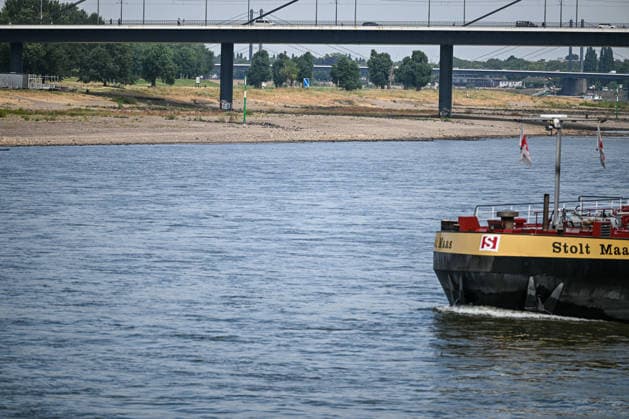 Dürre zeigt Folgen Rhein führt kaum noch Wasser, Sandbänk, Der Rhein führt aufgrund anhaltender Trockenheit und ausbleibender Niederschläge außergewöhnlich wenig Wasser. Große Teile des Flussbetts sind bei Düsseldorf freigelegt, Sand- und Kiesflächen treten deutlich hervor. Das Niedrigwasser beeinträchtigt die Schifffahrt und verdeutlicht die Auswirkungen der langanhaltenden Trockenperiode. Düsseldorf Nordrhein-Westfalen Deutschland Düsseldorf *** Drought Takes Its Toll: The Rhine Is Running Almost Dry, Sandbanks, Due to the ongoing drought and lack of rainfall, the Rhine is carrying an exceptionally low volume of water. Large sections of the riverbed near Düsseldorf are exposed, with areas of sand and gravel clearly visibl Copyright: x xonw-imagesx xPhilippxAndrÃ x