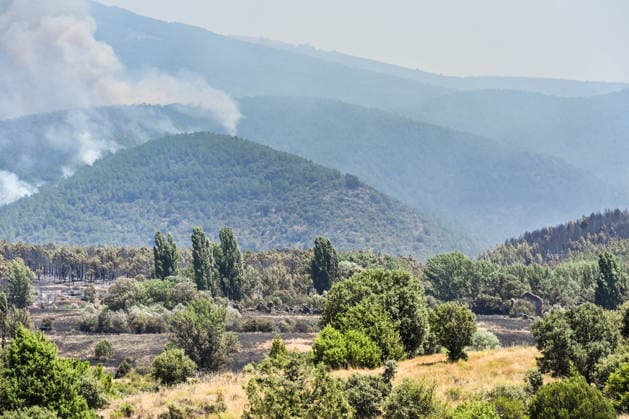 Four More Towns Evacuated Due to the La Mierla Fire, Which Has Reached the Heart of the Sierra Norte Natural Park A column of smoke is visible in the distance on July 17, 2026, in La Mierla, Guadalajara, Castilla-La Mancha, Spain. The spread of the fire that broke out on Thursday, July 16, in the Guadalajara town of La Mierla has led the Government of Castilla-La Mancha to order the evacuation of the towns of Almiruete, Palancares, Semillas, and La Nava de Jadraque. JULY 17, 2026 Rafael Martí La Mierla, Guadalajara, Castile La Mierla, Guadalajara, Castile, Spain  Copyright: xRafaelxMartinx 7670442