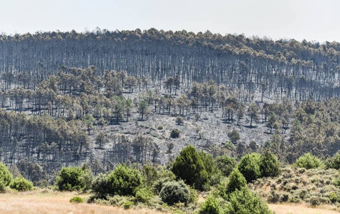 Four more towns are evacuated due to the La Mierla fire, which has reached the heart of the Sierra Norte Natural Park. Area burned by the fire, as of July 17, 2026, in La Mierla, Guadalajara, Castilla-La Mancha, Spain. The spread of the fire that broke out on Thursday, July 16, in the town of La Mierla in Guadalajara has led the Government of Castilla-La Mancha to order the evacuation of the towns of Almiruete, Palancares, Semillas, and La Nava de Jadraque. JULY 17, 2026 Rafael Martí La Mierla, Guadalajara, Castile La Mierla, Guadalajara, Castile, Spain  Copyright: xRafaelxMartinx 7670444