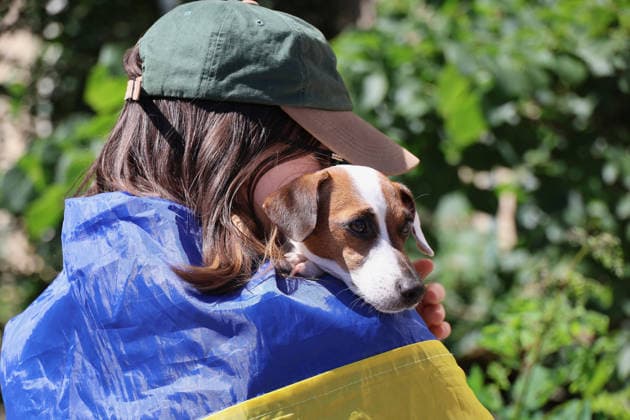 A woman with a national flag resting on her shoulders holds a dog during a protest action against the dismissal of Ukrainian Defence Minister Mykhailo Fedorov in Svobody Square, Kharkiv, Ukraine, July 17, 2026. (Photo by Viacheslav Madiievskyi Ukrinform) Activists rally in support of Mykhailo Fedorov in Kharkiv  Copyright: xViacheslavxMadiievskyix