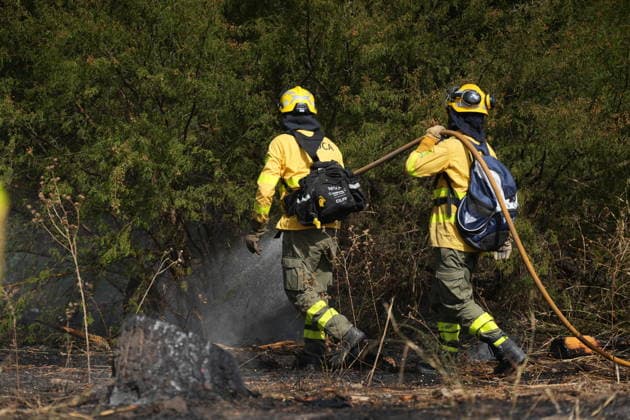 A wildfire has been reported in Camas, Seville, mobilizing firefighters from four stations. INFOCA personnel are working to extinguish a fire that broke out in Camas, Seville. On July 17, 2026, in Camas, Seville, Andalusia, Spain A wildfire broke out on the afternoon of Friday, July 17, in the El Carambolo area within the municipality of Camas, Seville. The fire required the intervention of Infoca personnel and firefighters from four stations in the province, who have had to work to protect nearby homes due to the magnitude of the fire. July 17, 2026 María José Ló Camas, Seville, Andalusia, Spain Camas, Seville, Andalusia, Spain Spain  Copyright: xMariaxJosÃ xLopezx 7670645